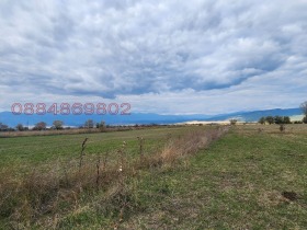    | Imot.bg    4
