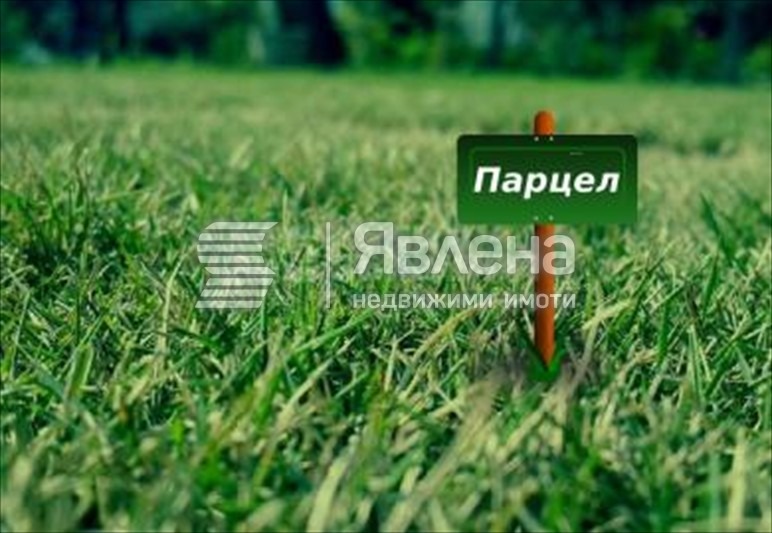 Продава  Парцел област Добрич , с. Рогачево , 480 кв.м | 89291014