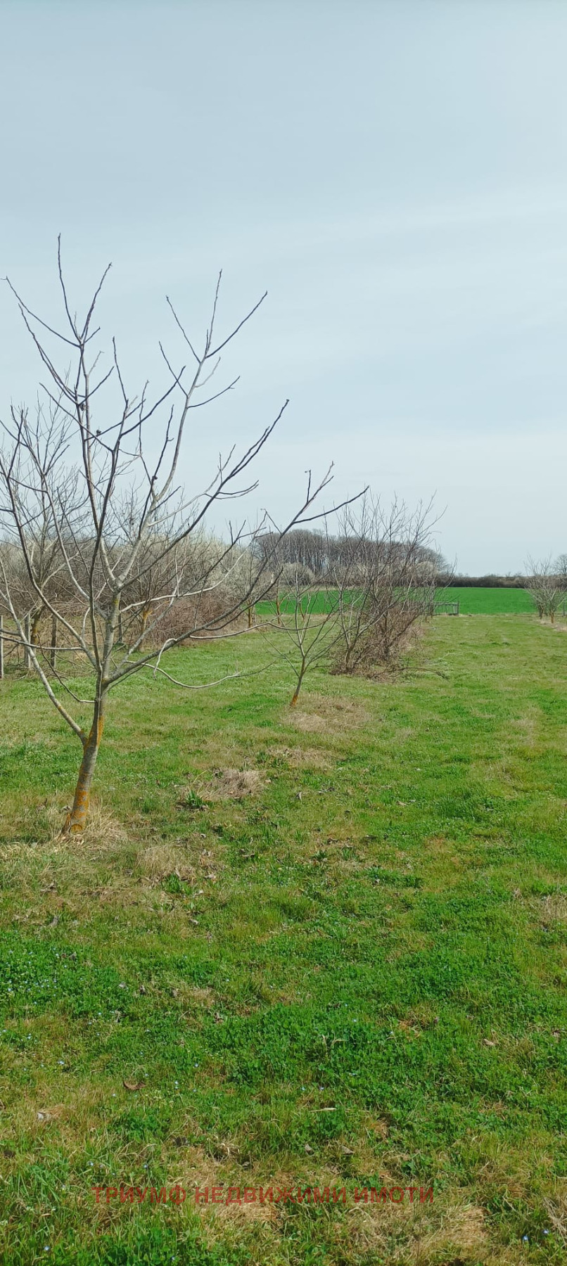 Продава ПАРЦЕЛ, с. Господиново, област Варна, снимка 6 - Парцели - 54628158