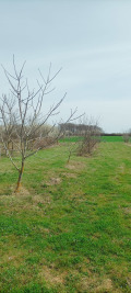 Продава ПАРЦЕЛ, с. Господиново, област Варна, снимка 6