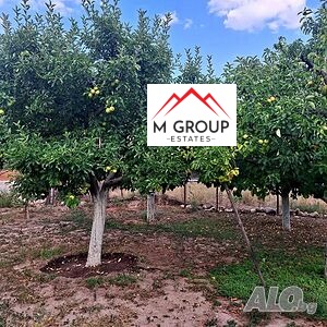 ������� ������ | Imot.bg � ����������� 8