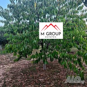 ������� ������ | Imot.bg � ����������� 10