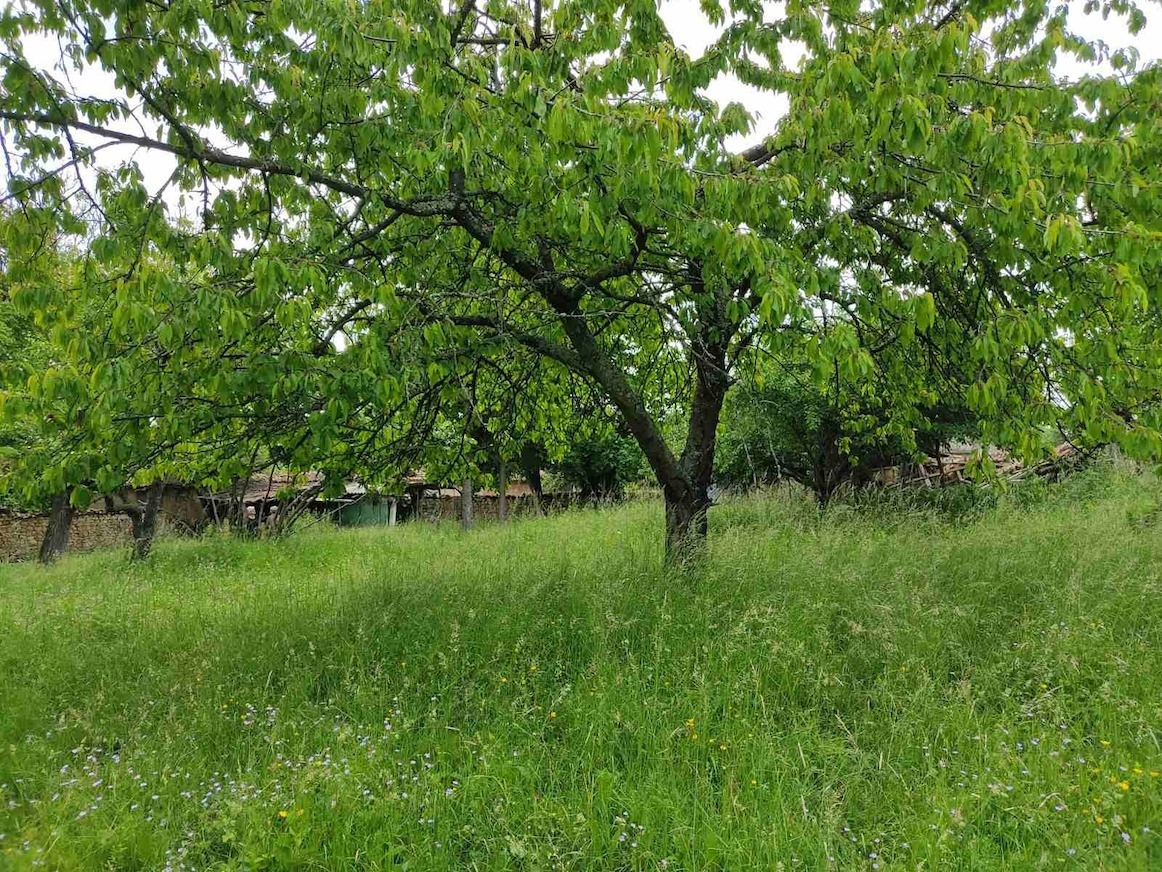 Продава ПАРЦЕЛ | Imot.bg — изображение 3