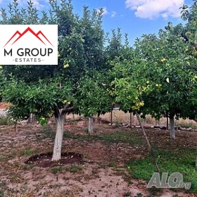 ������� ������ | Imot.bg � ����� ������ 8