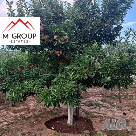 ������� ������ | Imot.bg � ����� ������ 9