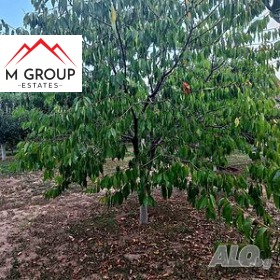 ������� ������ | Imot.bg � ����� ������ 10