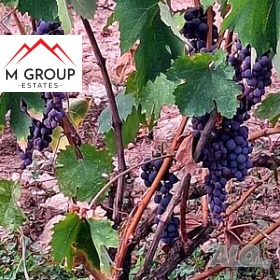 ������� ������ | Imot.bg � ����� ������ 7