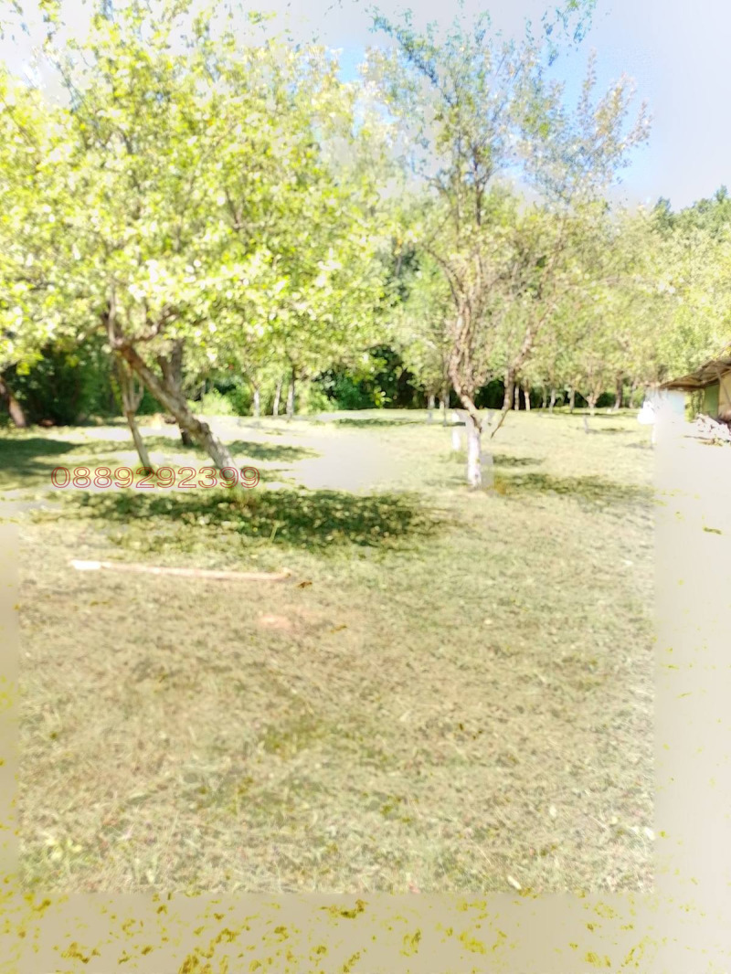 Продава КЪЩА, с. Голяма Желязна, област Ловеч, снимка 11 - Къщи - 52783585