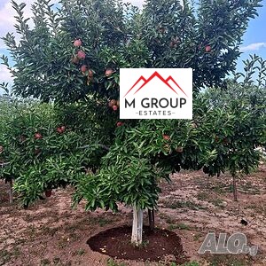 Продава ПАРЦЕЛ, с. Кръстевич, област Пловдив, снимка 8 - Парцели - 53495669