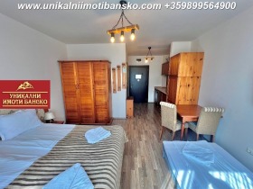 Studio Bansko, region Blagoevgrad 9