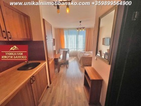 Studio Bansko, region Blagoevgrad 2