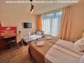 Studio Bansko, region Blagoevgrad 4