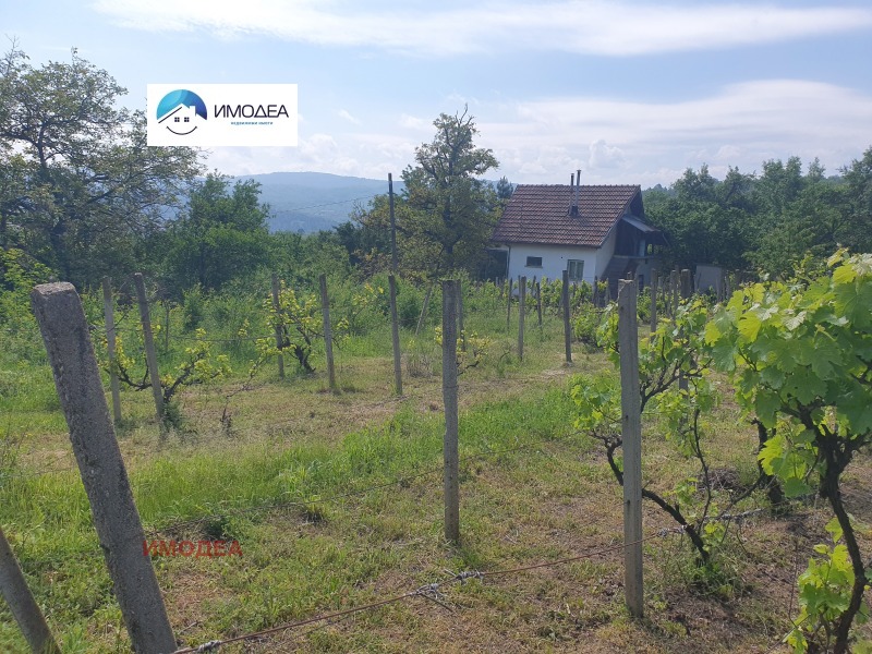 Na prodej  Spiknutí oblast Gabrovo , Drjanovo , 1174 m2 | 43726676 - obraz [5]