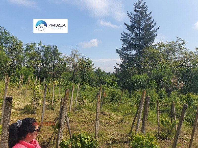 Na prodej  Spiknutí oblast Gabrovo , Drjanovo , 1174 m2 | 43726676 - obraz [9]