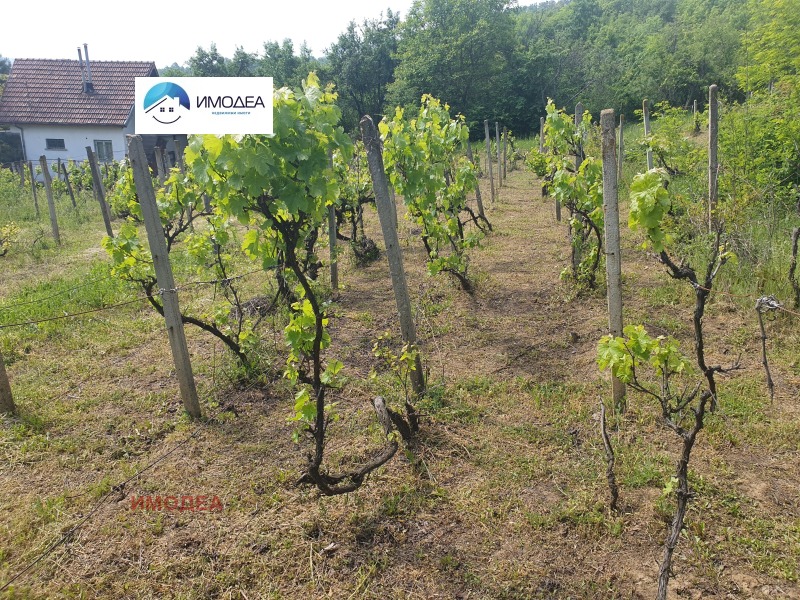 Na prodej  Spiknutí oblast Gabrovo , Drjanovo , 1174 m2 | 43726676 - obraz [4]
