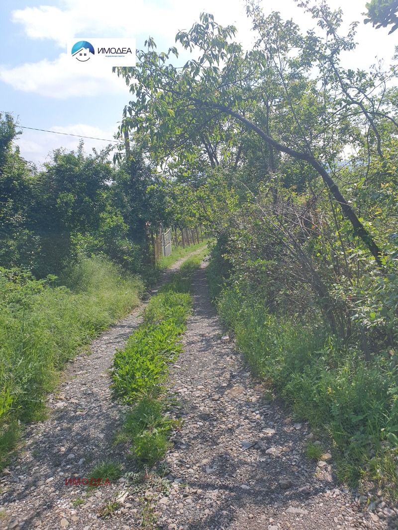 Na prodej  Spiknutí oblast Gabrovo , Drjanovo , 1174 m2 | 43726676 - obraz [8]