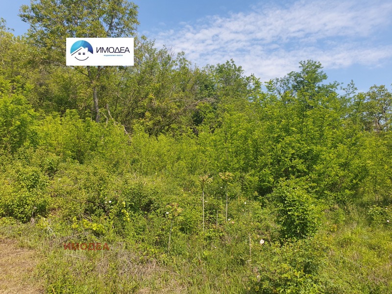 Na prodej  Spiknutí oblast Gabrovo , Drjanovo , 1174 m2 | 43726676 - obraz [2]