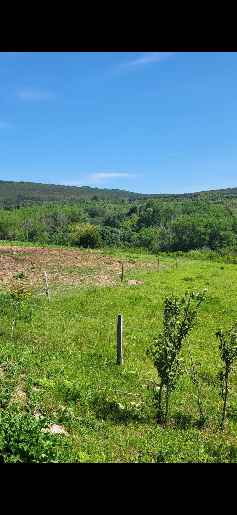 Продава  Парцел, област Варна, с. Генерал Кантарджиево •  100 000 EUR • ID 91953158 — holmes.bg - [1] 