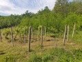 Продава ПАРЦЕЛ, област Габрово, гр. Дряново • 20000 лв. • 63210623 — Holmes.bg