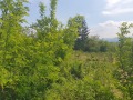Продава ПАРЦЕЛ, област Габрово, гр. Дряново • 20000 лв. • 63210623 — Holmes.bg
