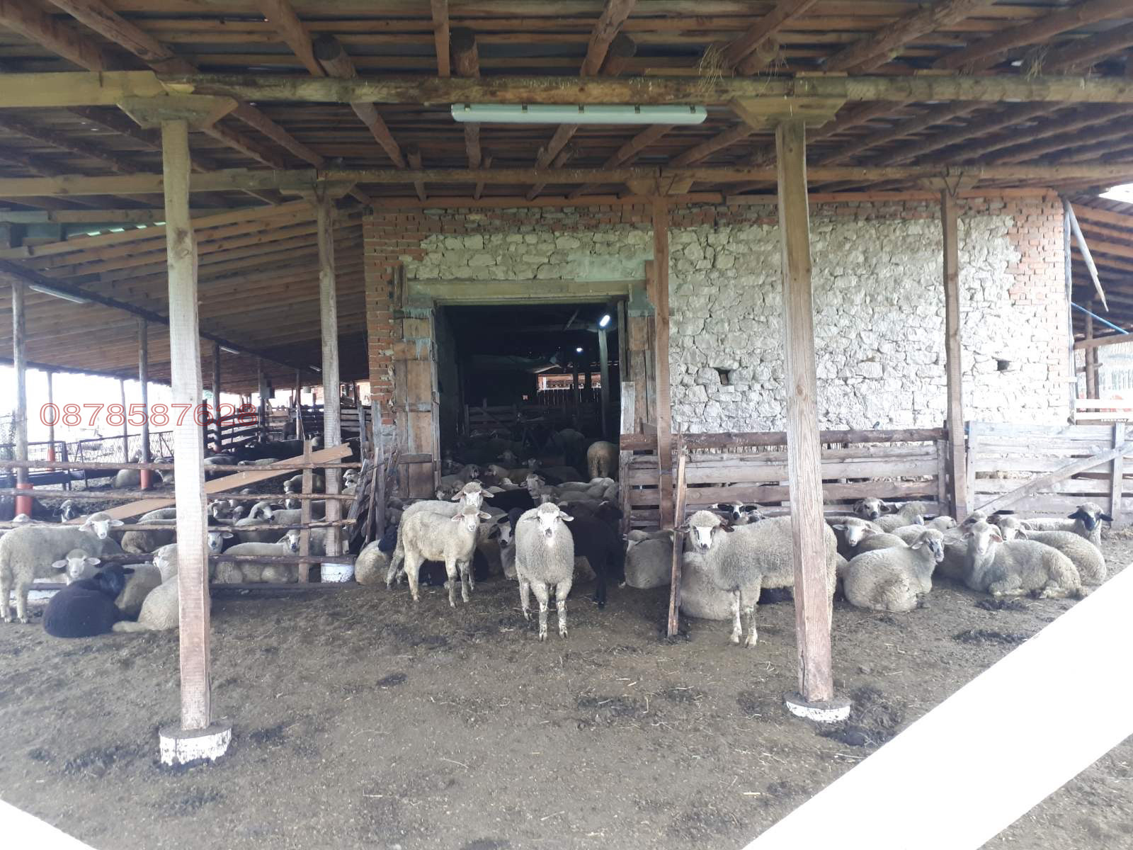 Продава ПРОМ. ПОМЕЩЕНИЕ | Imot.bg — изображение 3