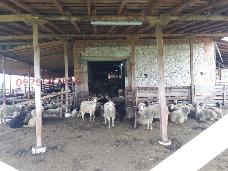 Продава ПРОМ. ПОМЕЩЕНИЕ, с. Мандра, област Хасково, снимка 3 - Производствени сгради - 53512925