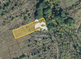 ����� ������� ������,���� �����, �. ������