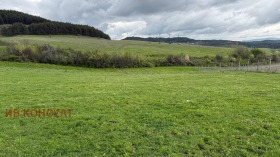 ������ ������� ������