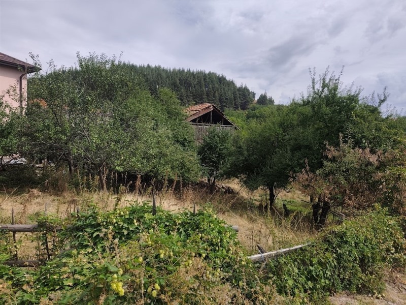 For Sale  Plot region Blagoevgrad , Dobarsko , 411 sq.m | 95830627 - image [6]