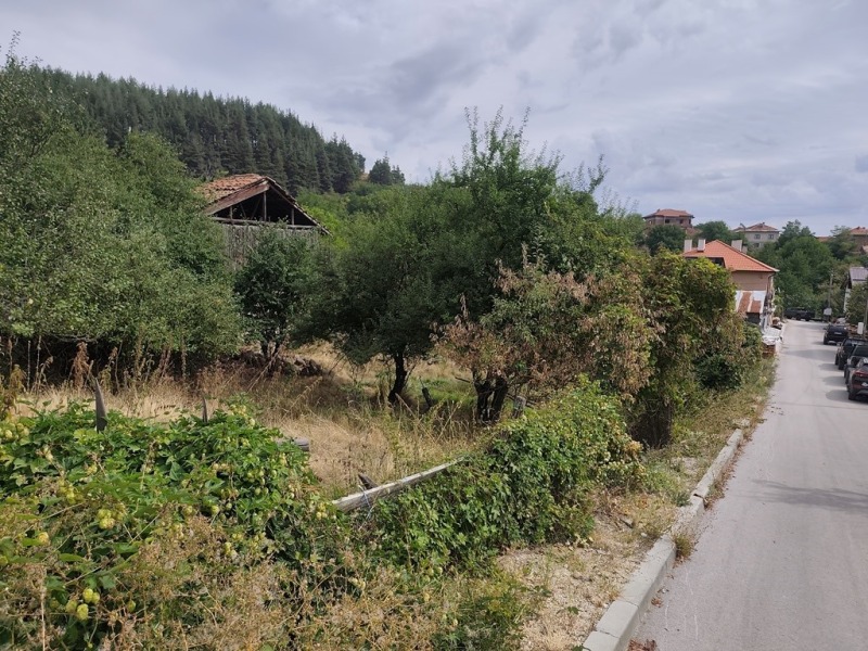 For Sale  Plot region Blagoevgrad , Dobarsko , 411 sq.m | 95830627 - image [5]