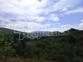 Продава КЪЩА, с. Голям извор, област Ловеч, снимка 5