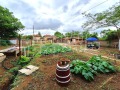 Продава КЪЩА, област Плевен, с. Градище • 44900 € • 47336984 — Holmes.bg