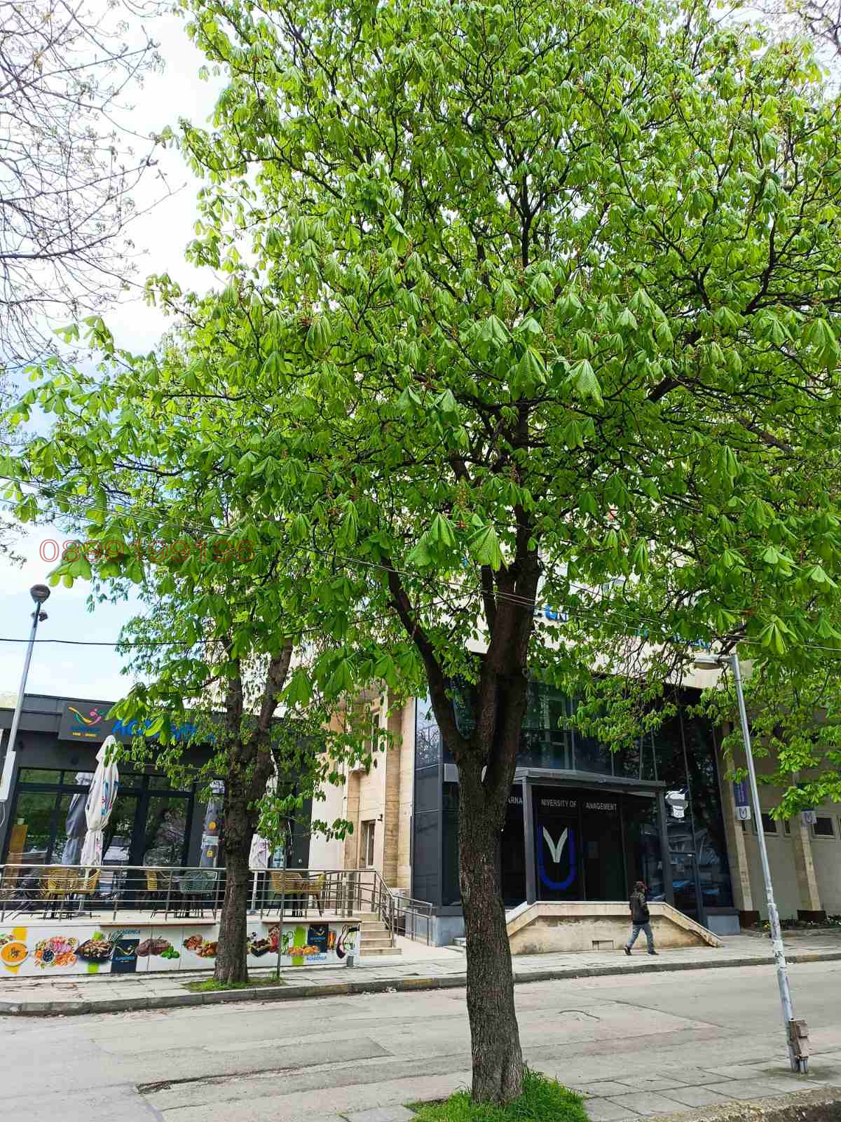 ������� 3-����� | Imot.bg � ����������� 14