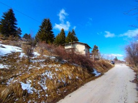 Plot Gela, region Smolyan 9