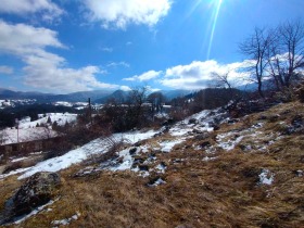 Plot Gela, region Smolyan 5