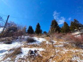 Plot Gela, region Smolyan 6