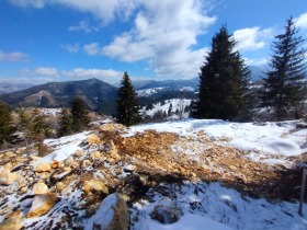 Plot Gela, region Smolyan 2