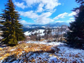 Plot Gela, region Smolyan 7