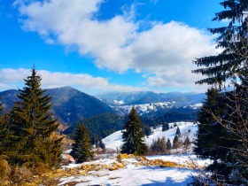 Plot Gela, region Smolyan 11