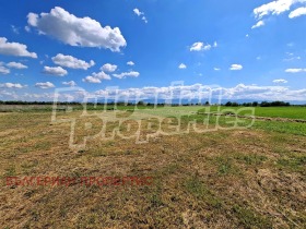 ������� ������ | Imot.bg � ����� ������ 7