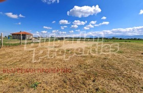 ����� ������� ������,�. �����������, ������ �������