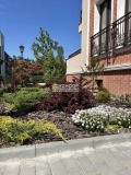 Продава 3-СТАЕН, град Пловдив, Център • 166740 € / 326115.09 лв. • 81648275 8