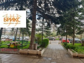 ����� ������� 2-�����,���� �����, ����������