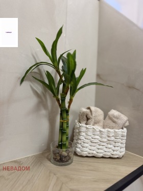 ������� 2-����� | Imot.bg � ����� ������ 12