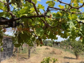 ������� ������ | Imot.bg � ����� ������ 3