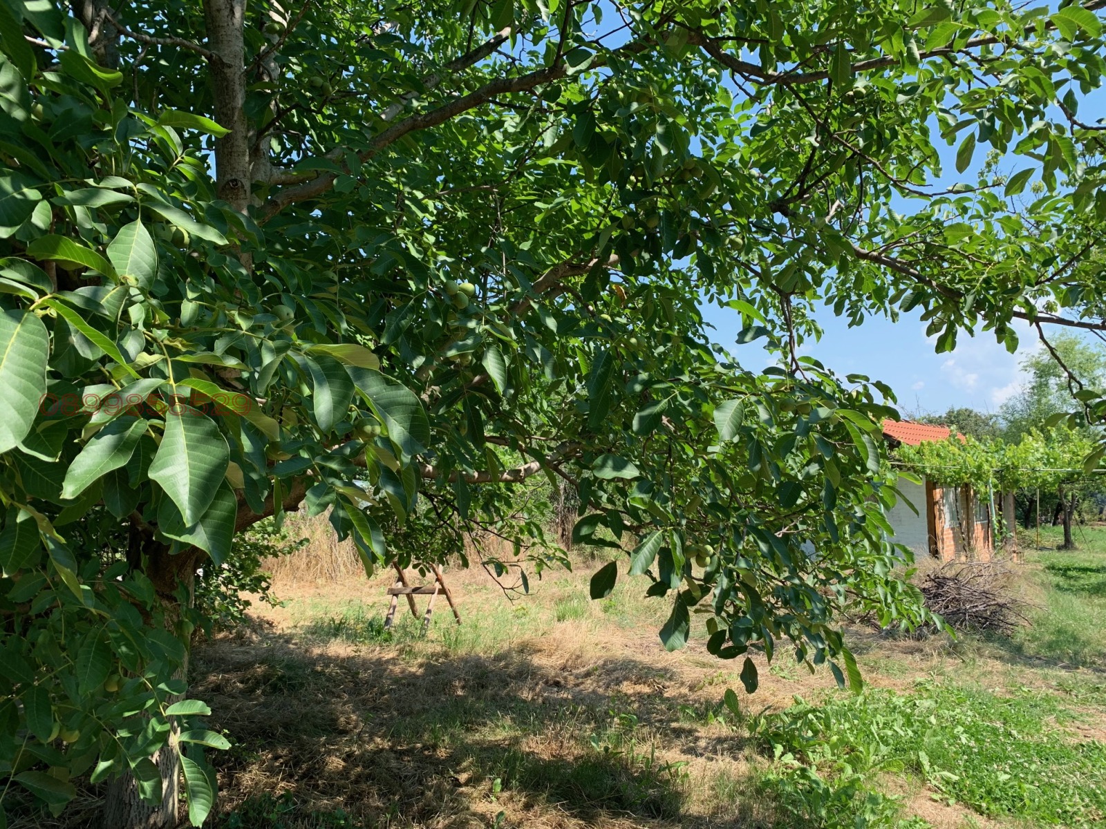 Продава ПАРЦЕЛ, с. Горна махала, област Пловдив, снимка 5 - Парцели - 54045475