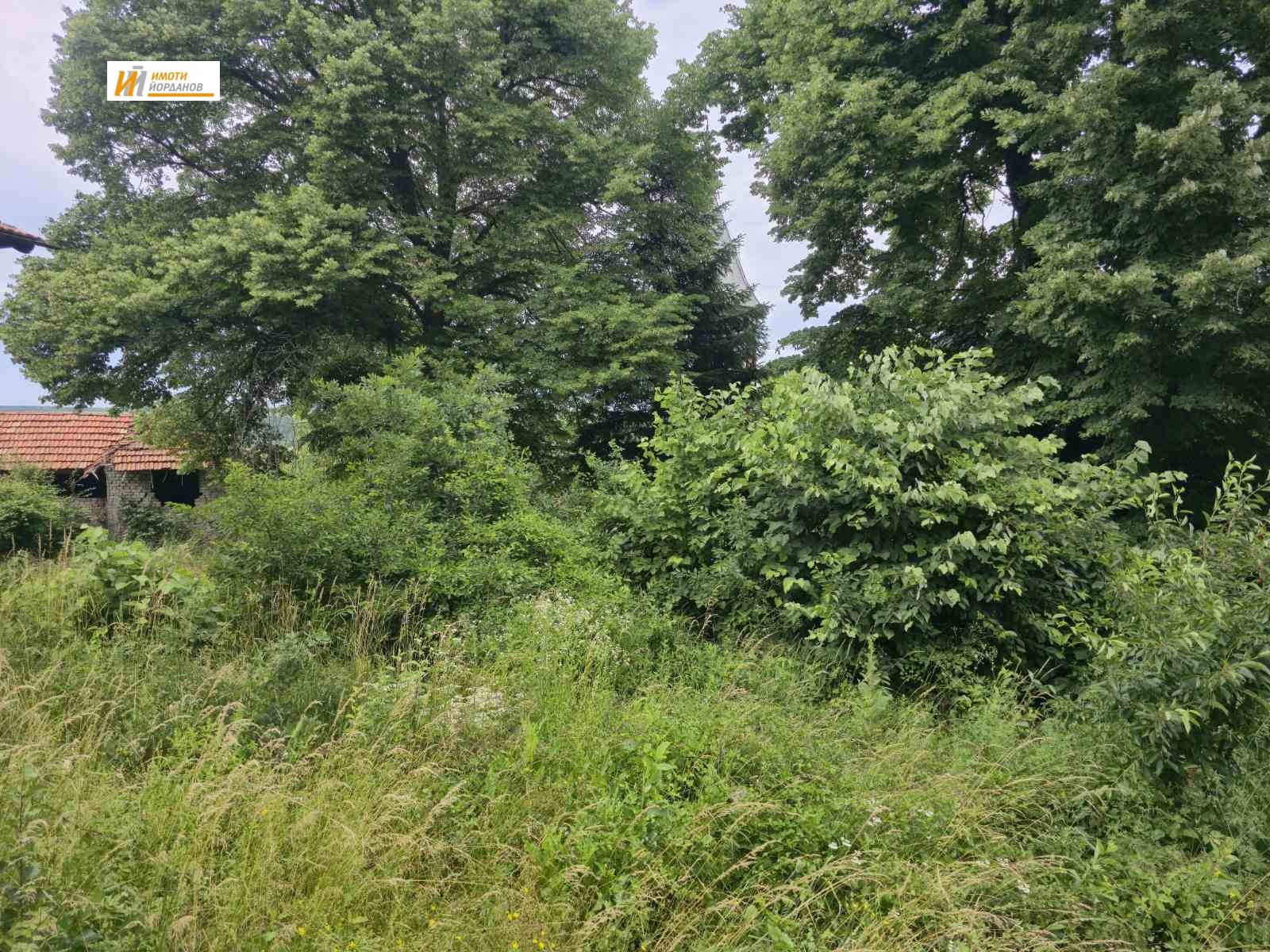 Продава КЪЩА, с. Пушево, област Велико Търново, снимка 3 - Къщи - 53674616