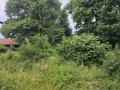 Продава КЪЩА, с. Пушево, област Велико Търново, снимка 3