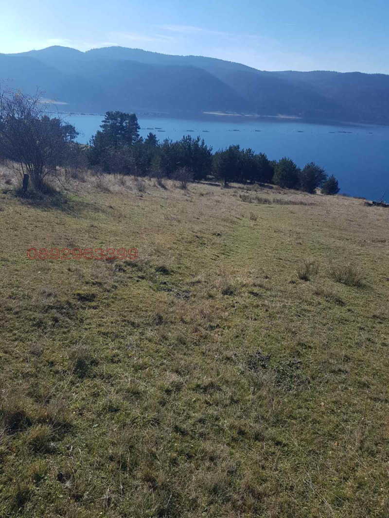 Продава ЗЕМЕДЕЛСКА ЗЕМЯ, гр. Доспат, област Смолян, снимка 7 - Земеделска земя - 52783888