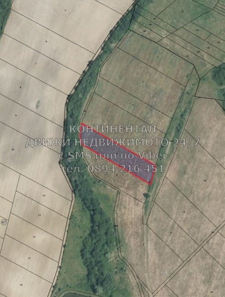На продаж  Земля область Пловдив , Новаково , 10 dka | 20593905